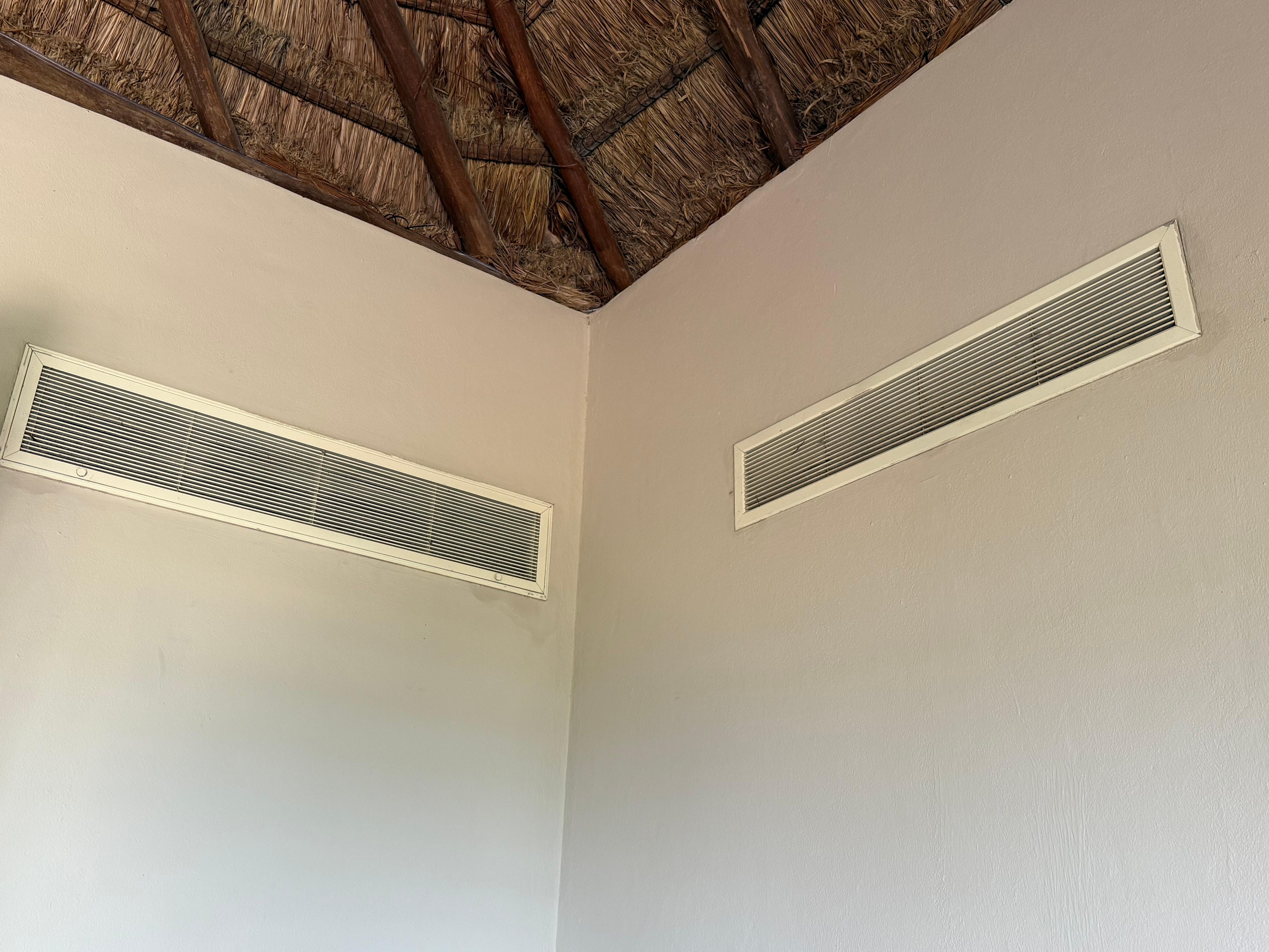 thatched roof with rusty air vents 