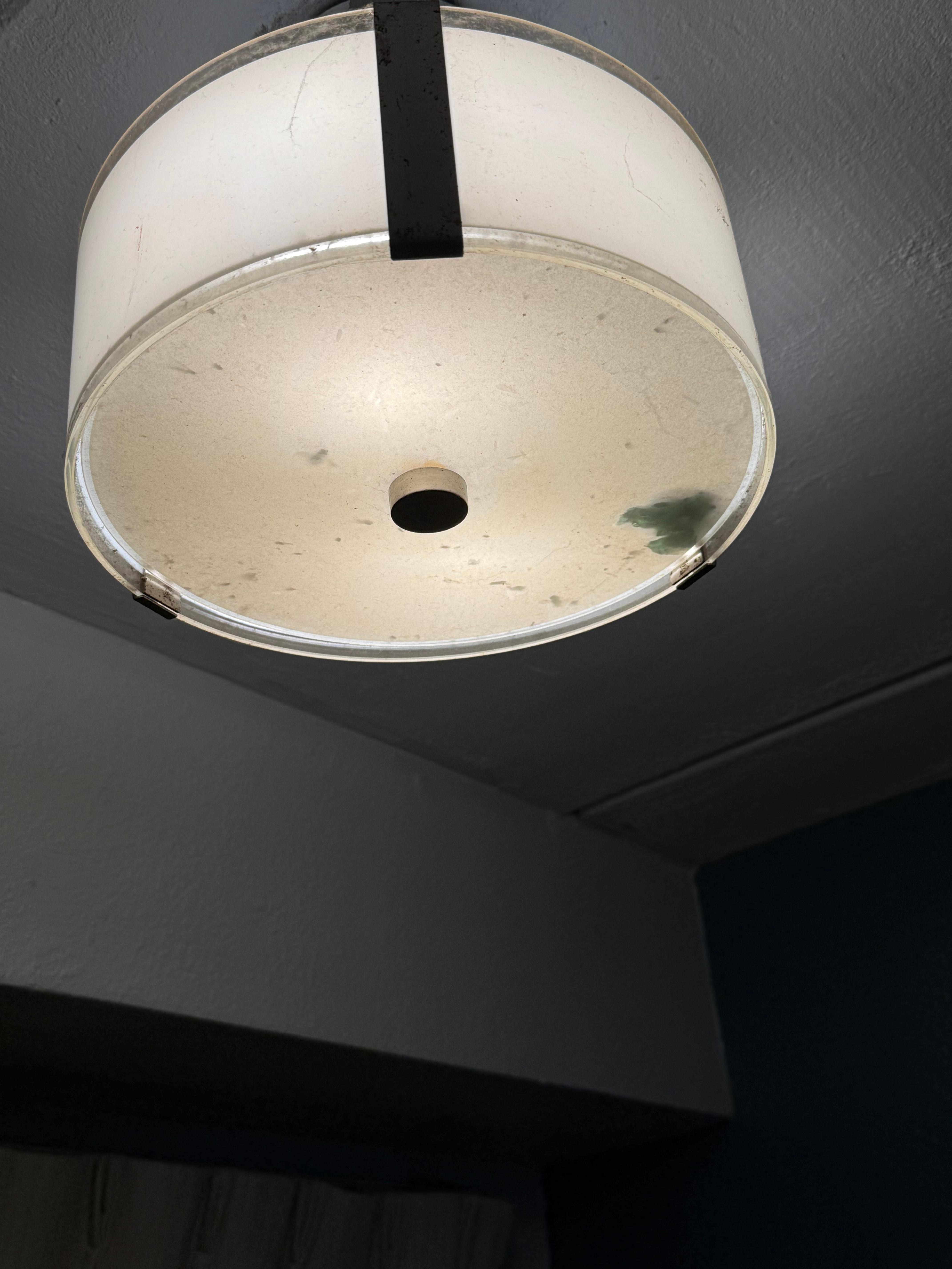 Light fixture with all kinds of bugs and something unknown in it.