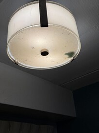 Light fixture with all kinds of bugs and something unknown in it.