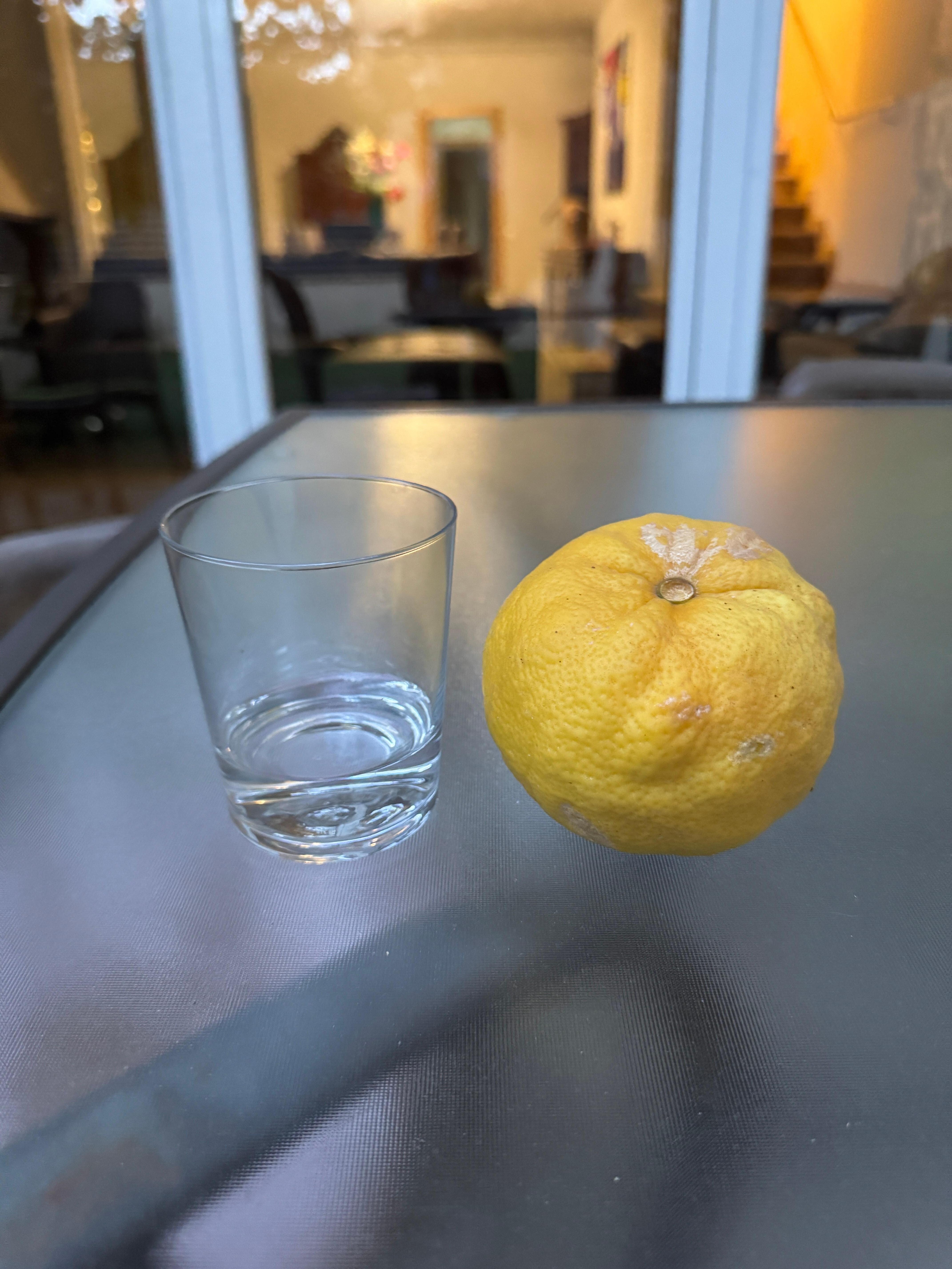 Lemon from the lemon tree