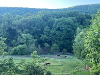 View of pasture from hilltop