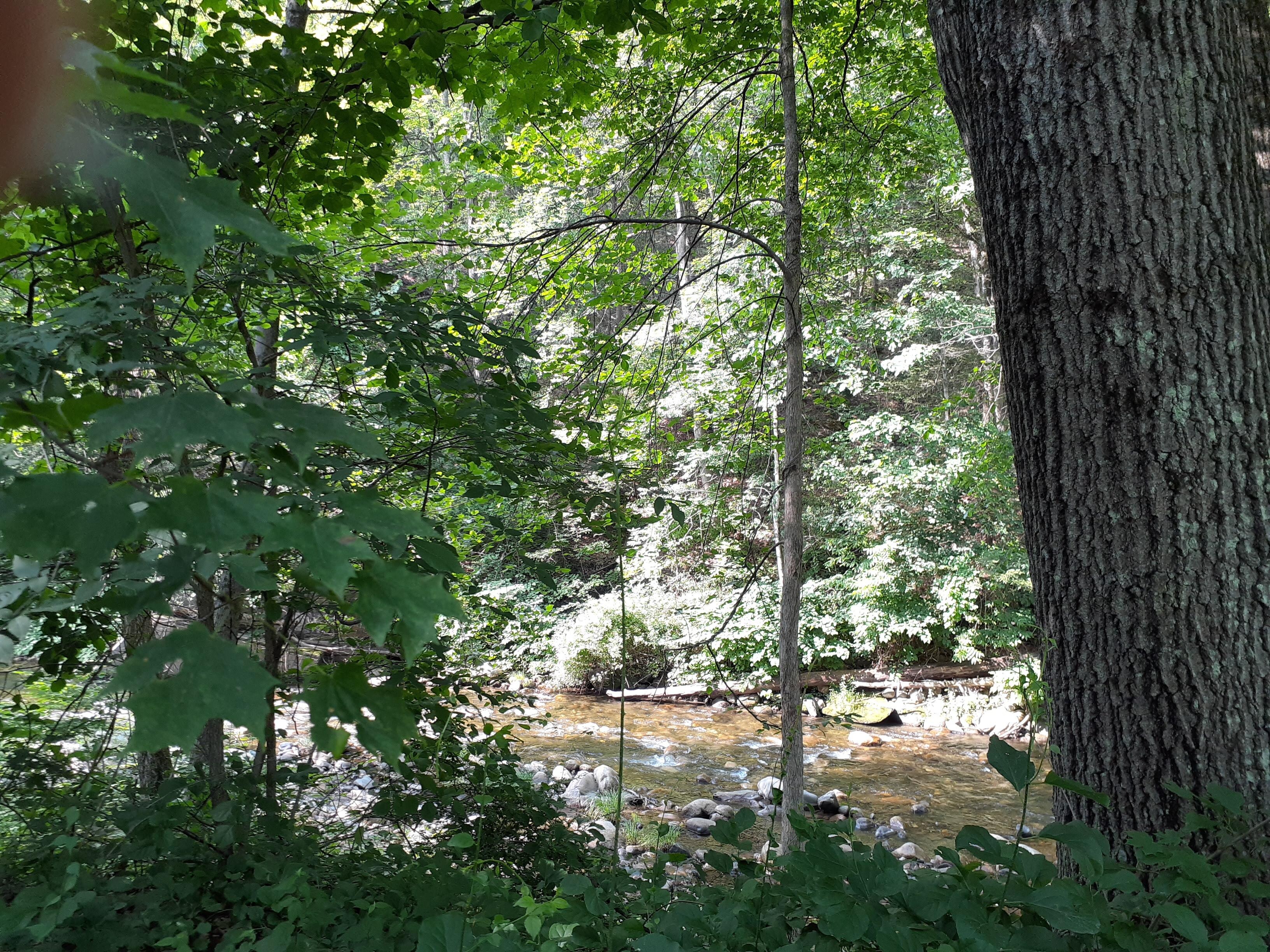 View to the flowing river from the lawn area.