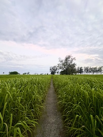 Beautiful beach path close to condo.