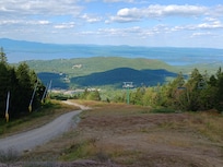 Gunstock