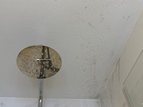 Moisissures sur le plafond