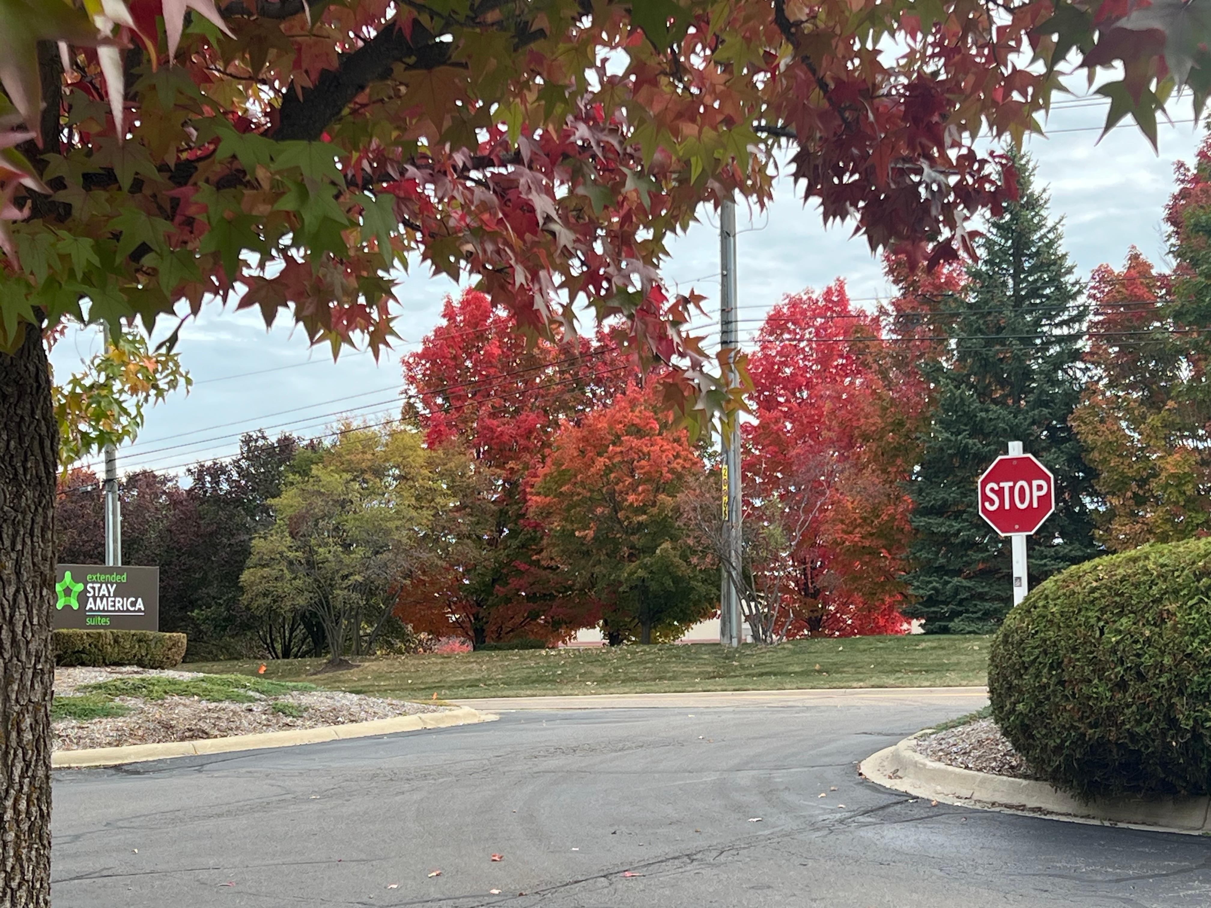 Out in front of the hotel! 