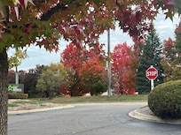 Out in front of the hotel!