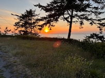 Sunset seen from room with an eagle-nest tree in foreground.