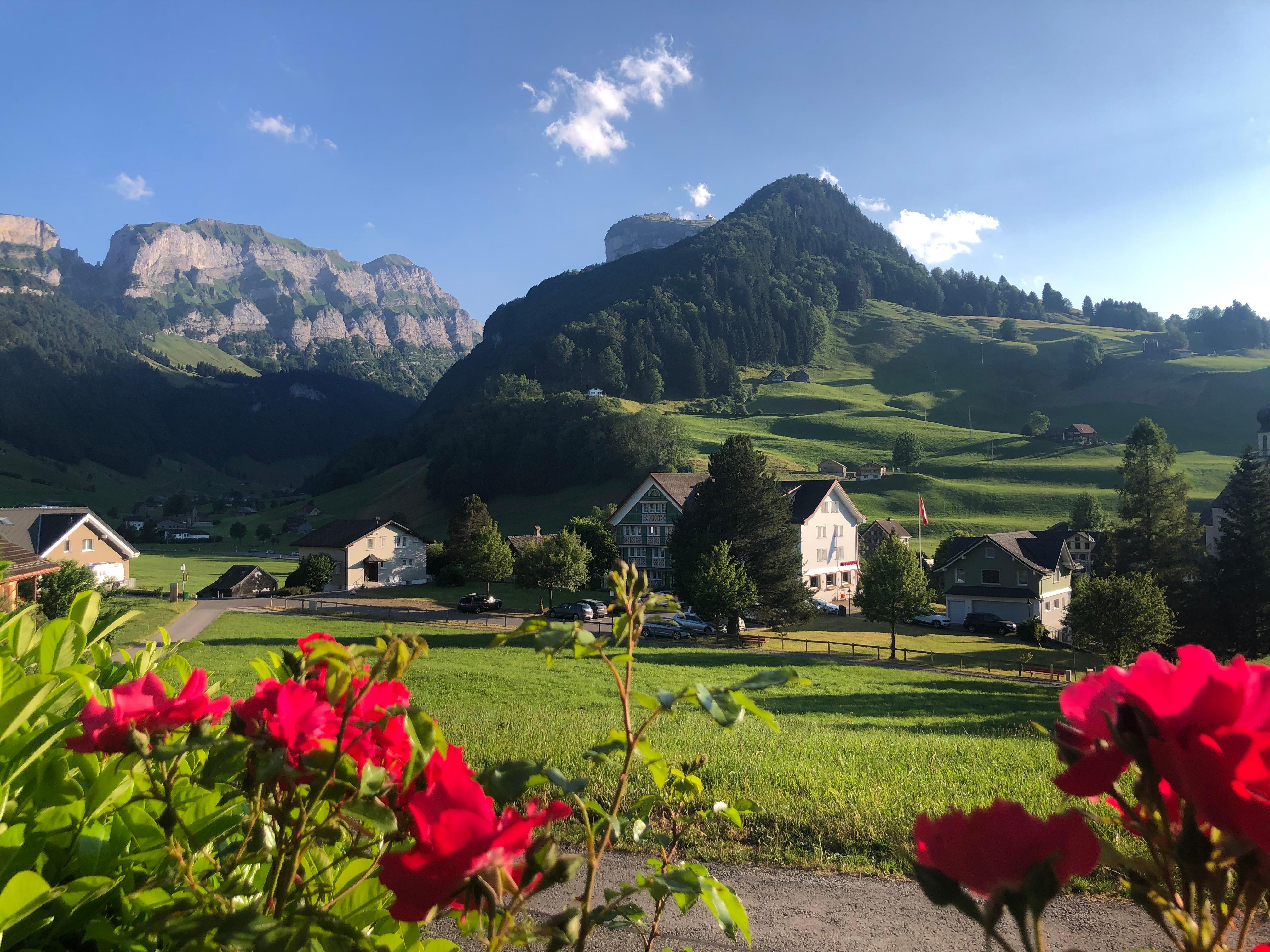 View from the Garden Restaurant