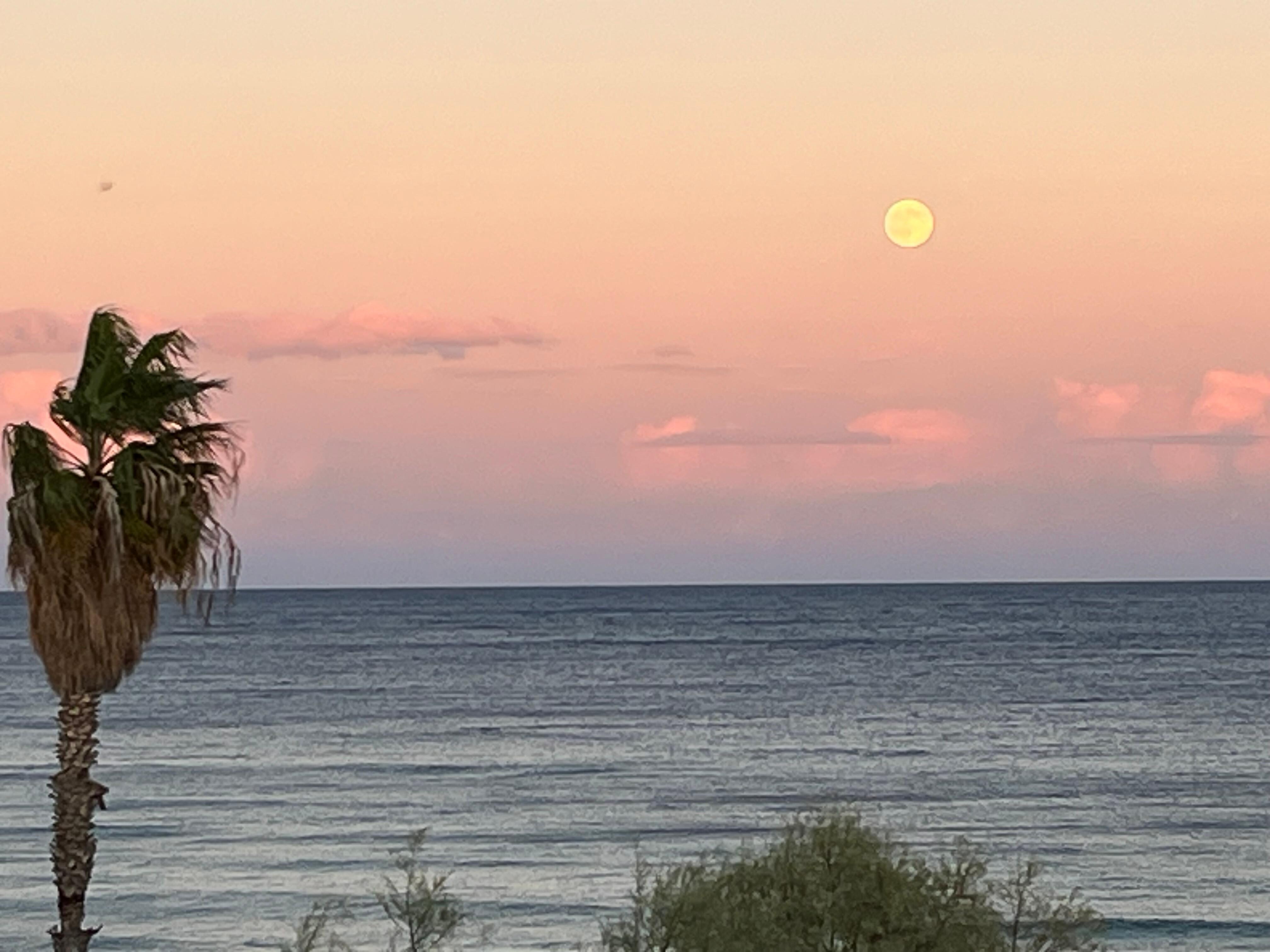 One of many beautiful moonrises we were fortunate to enjoy!