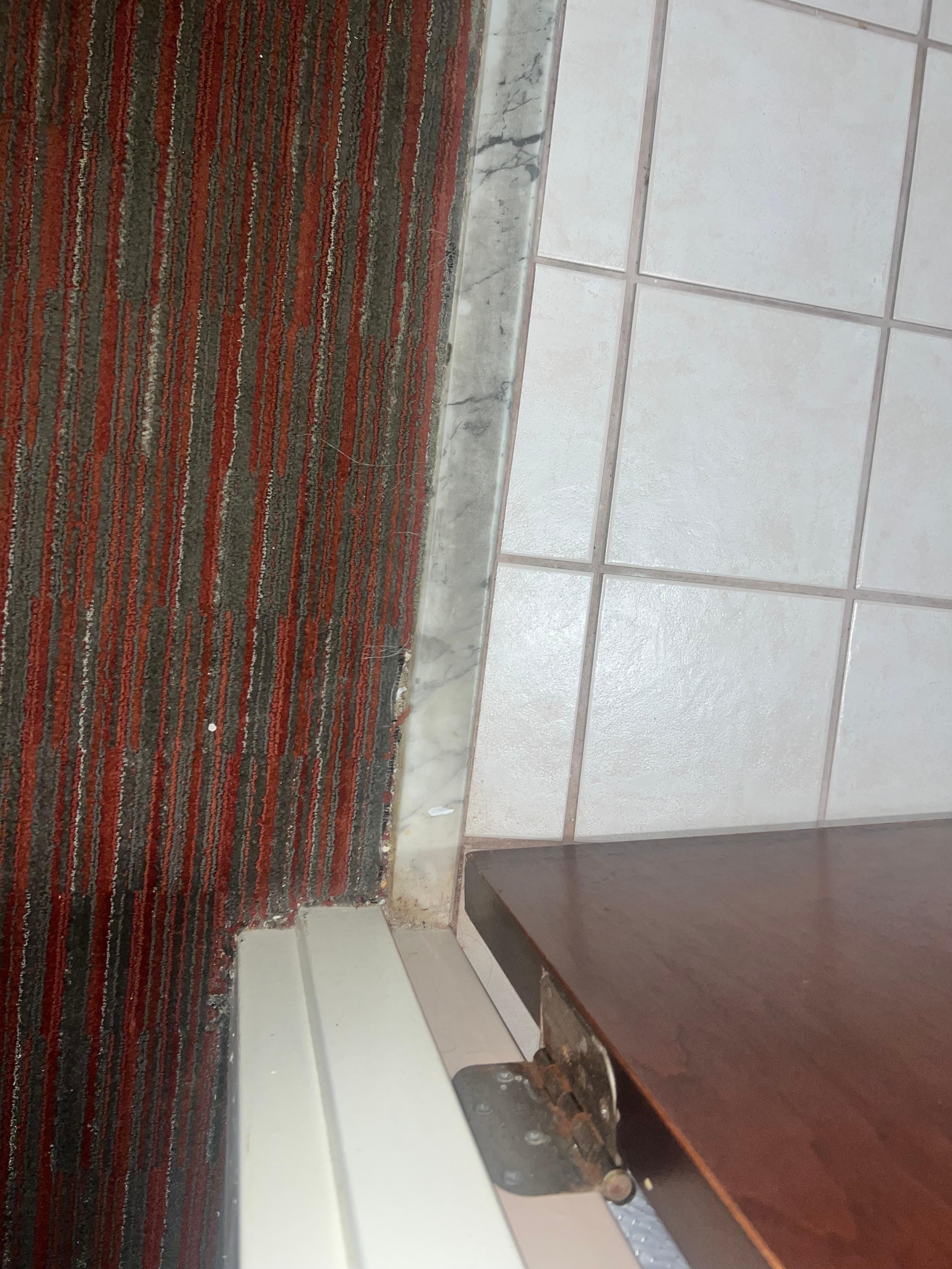 Filthy carpet