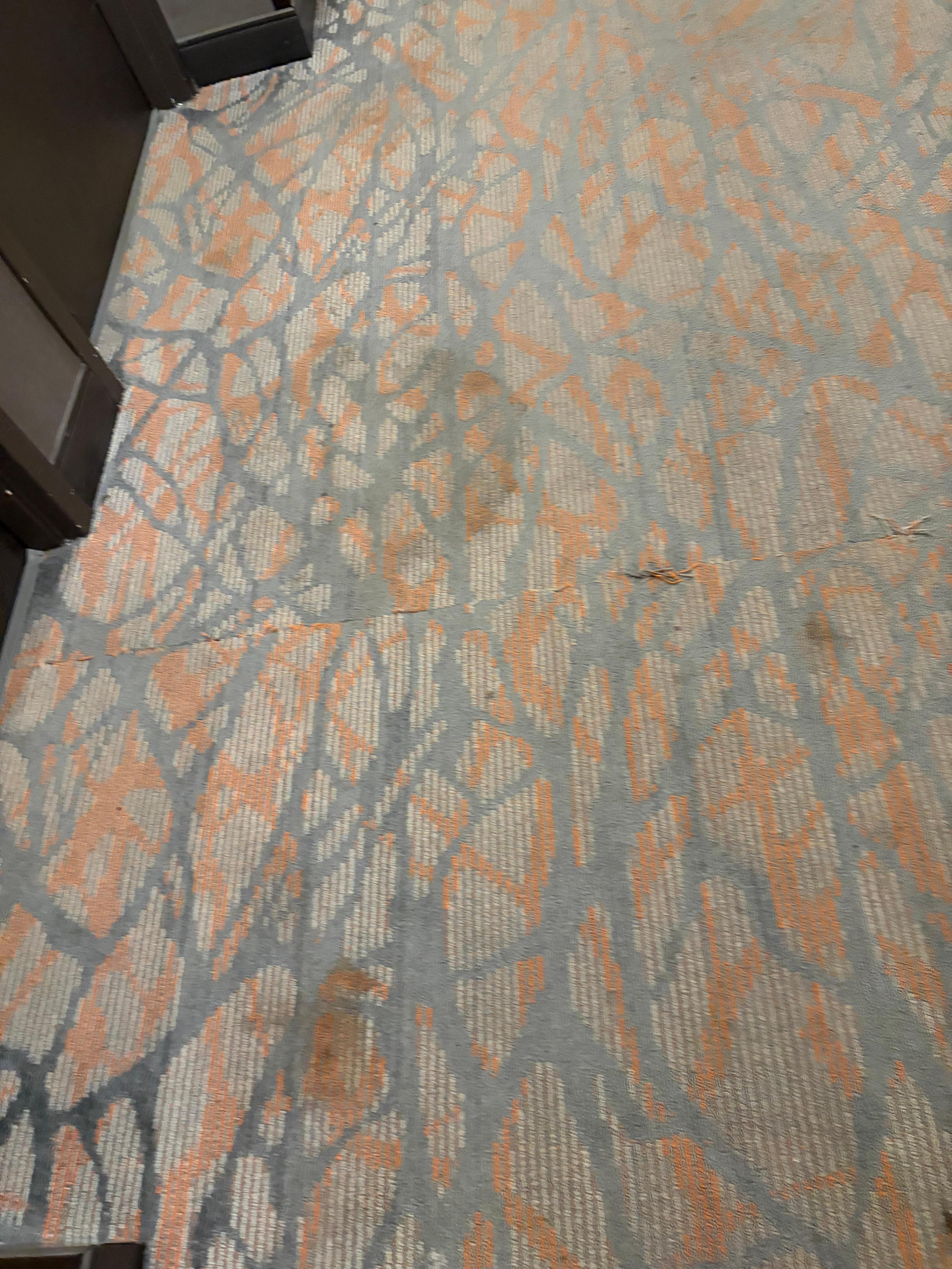 Disgusting rugs in the hallway.