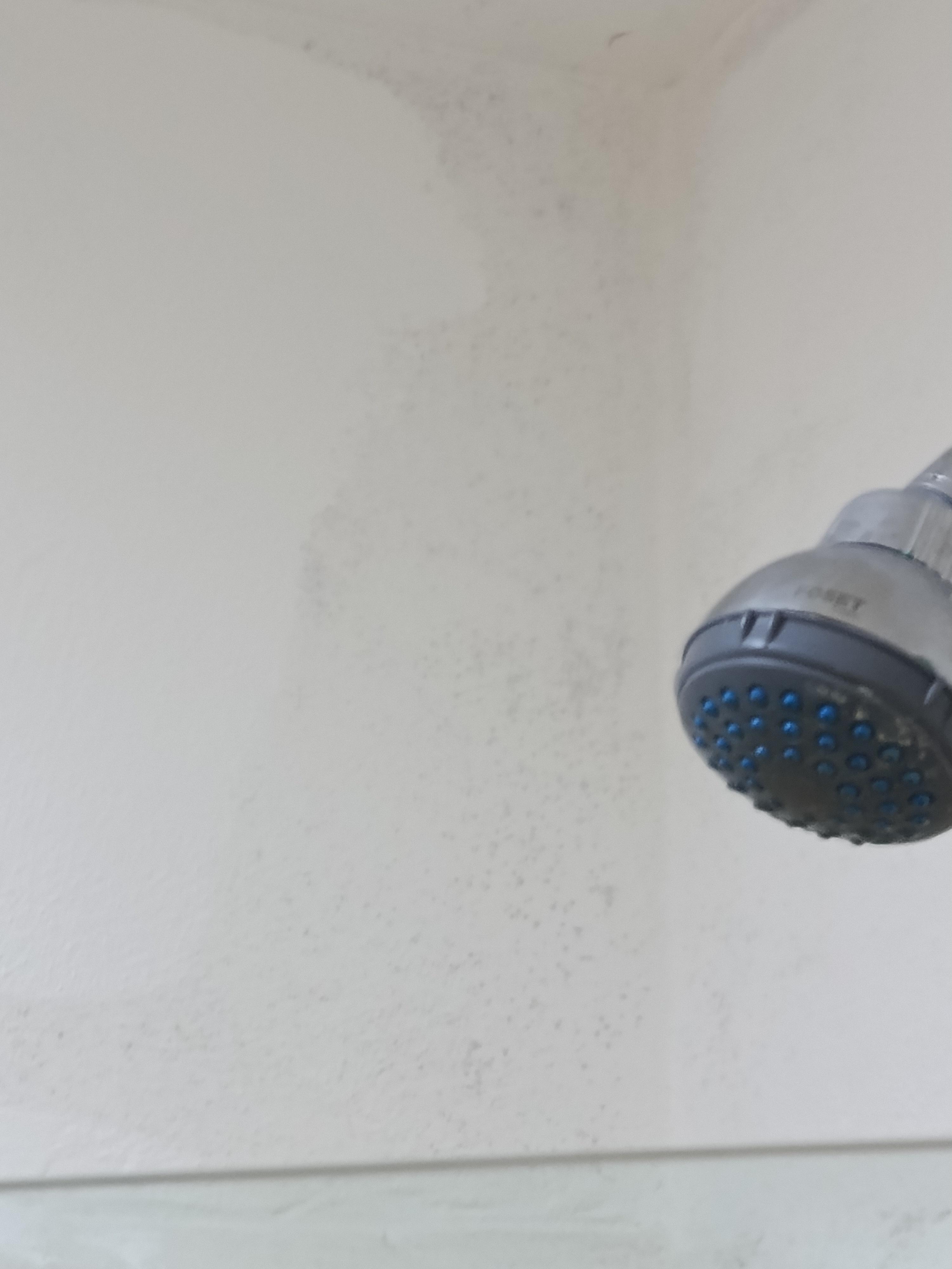 Paredes llenas de hongos con humedad regadera sin presión para poder bañarse.