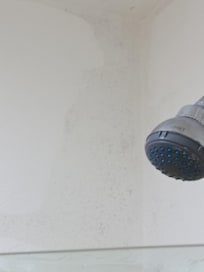 Paredes llenas de hongos con humedad regadera sin presión para poder bañarse.