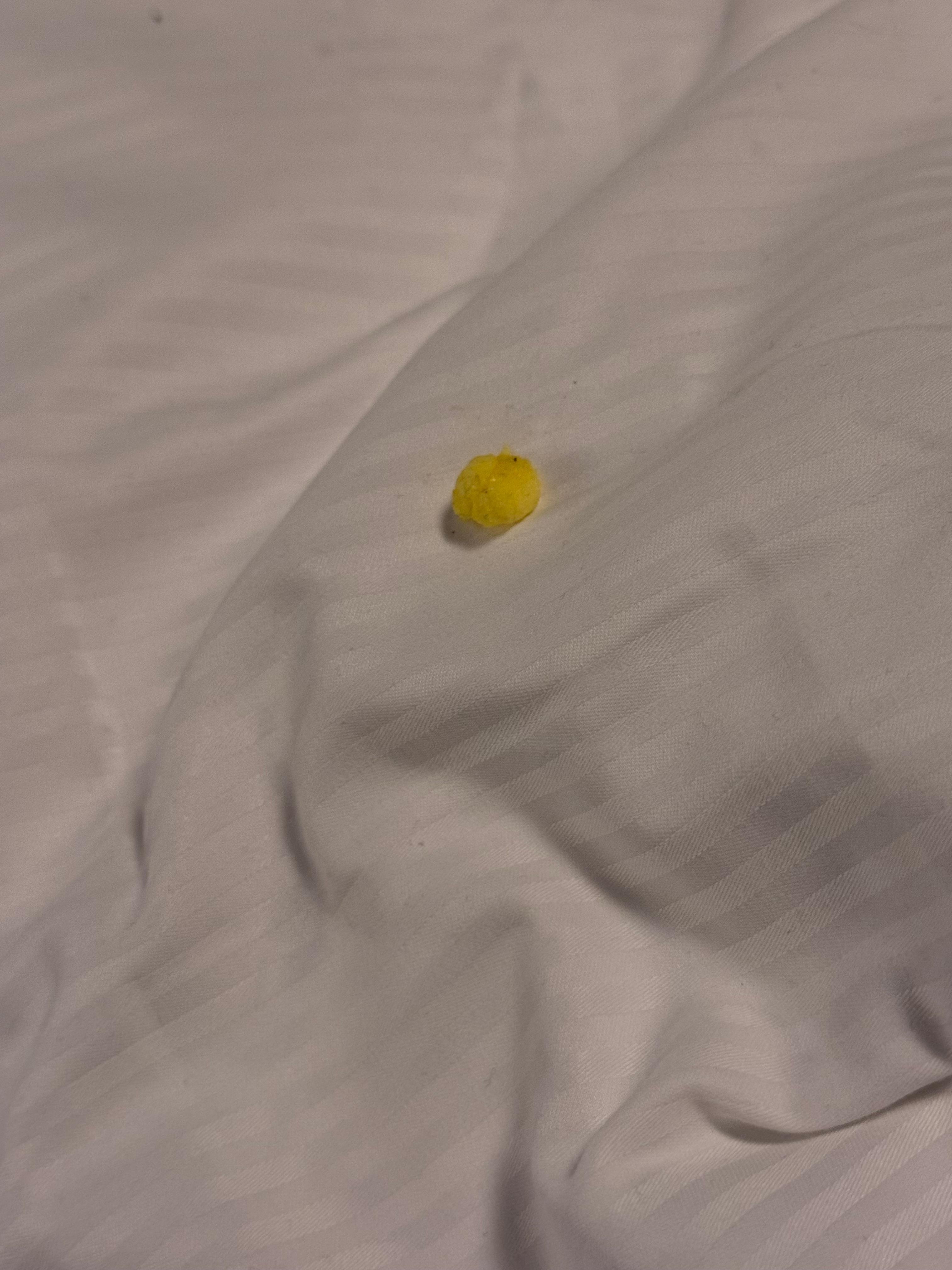 Gum on the blanket