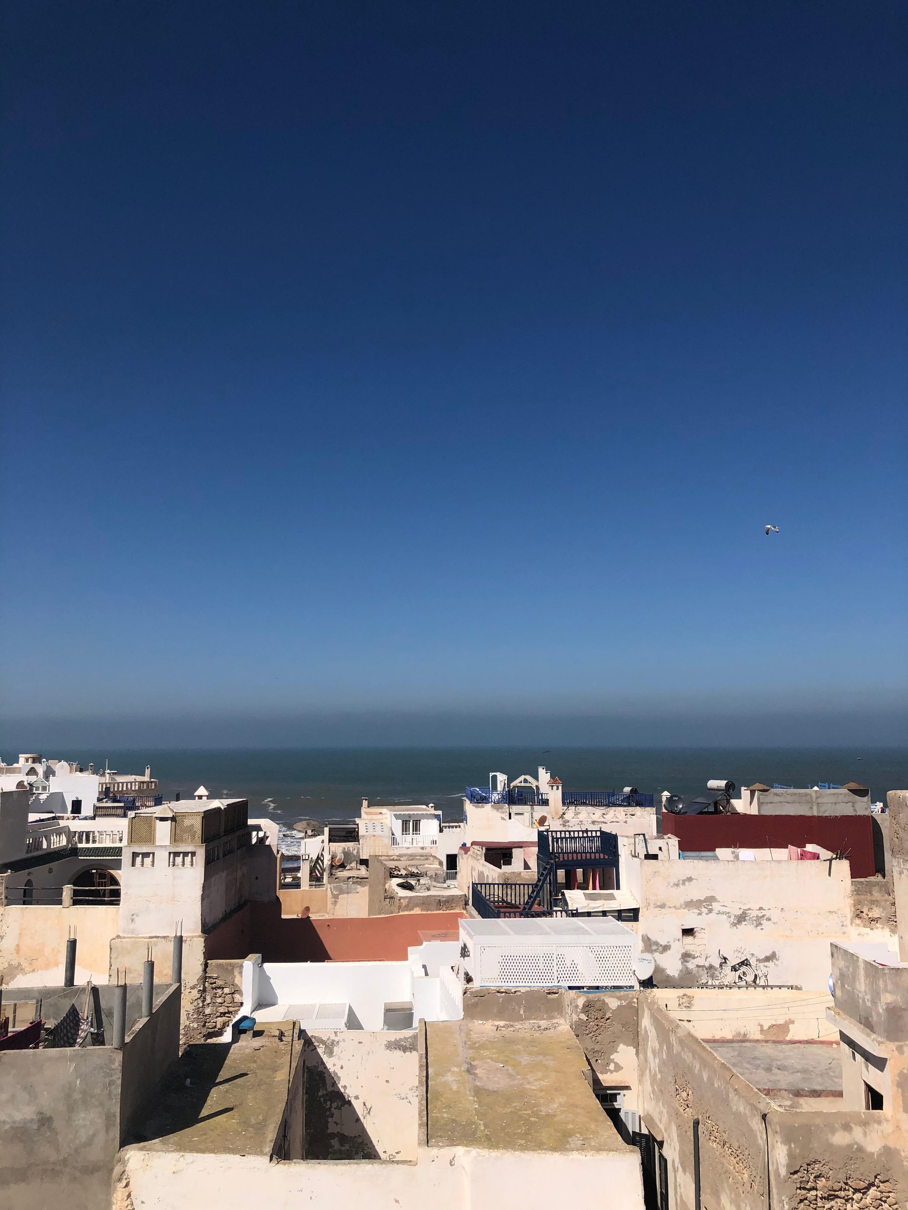 ルーフトップからの眺望