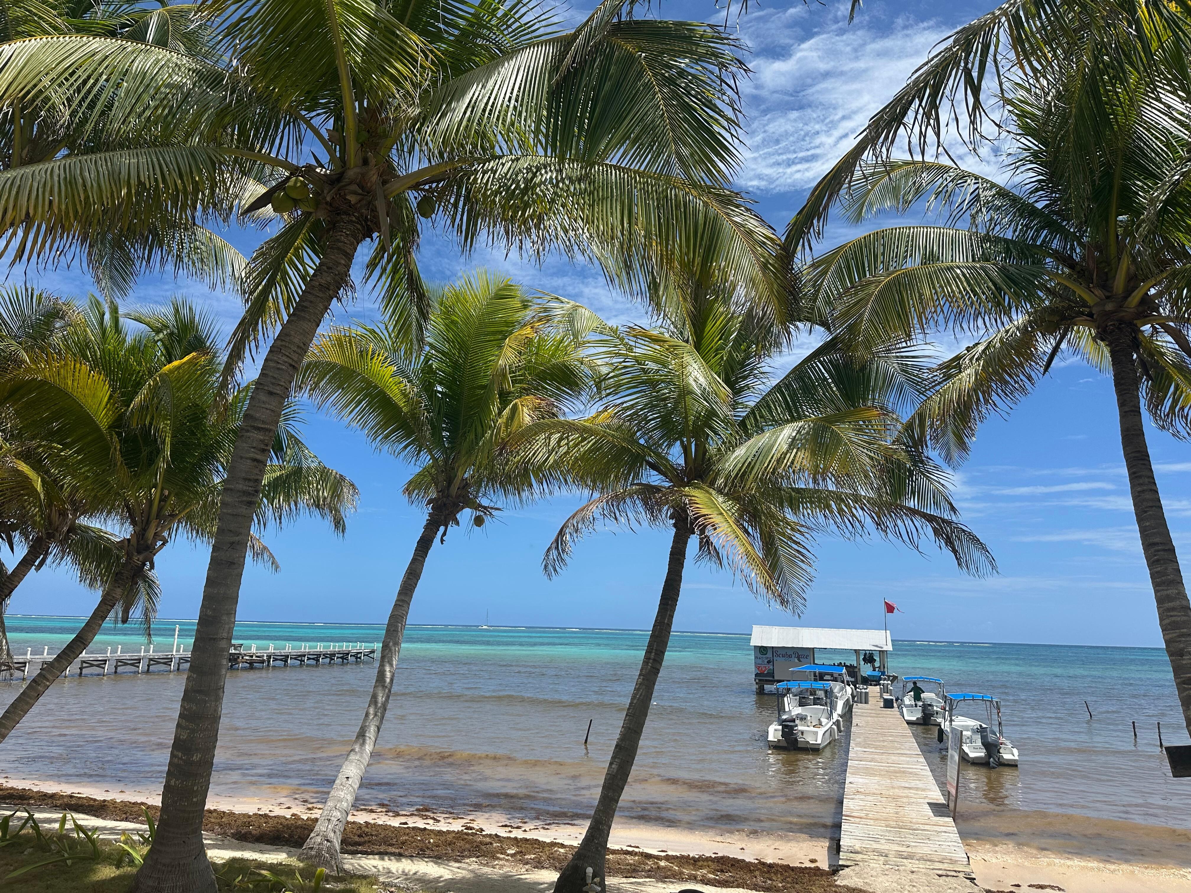 The diving center off the dock