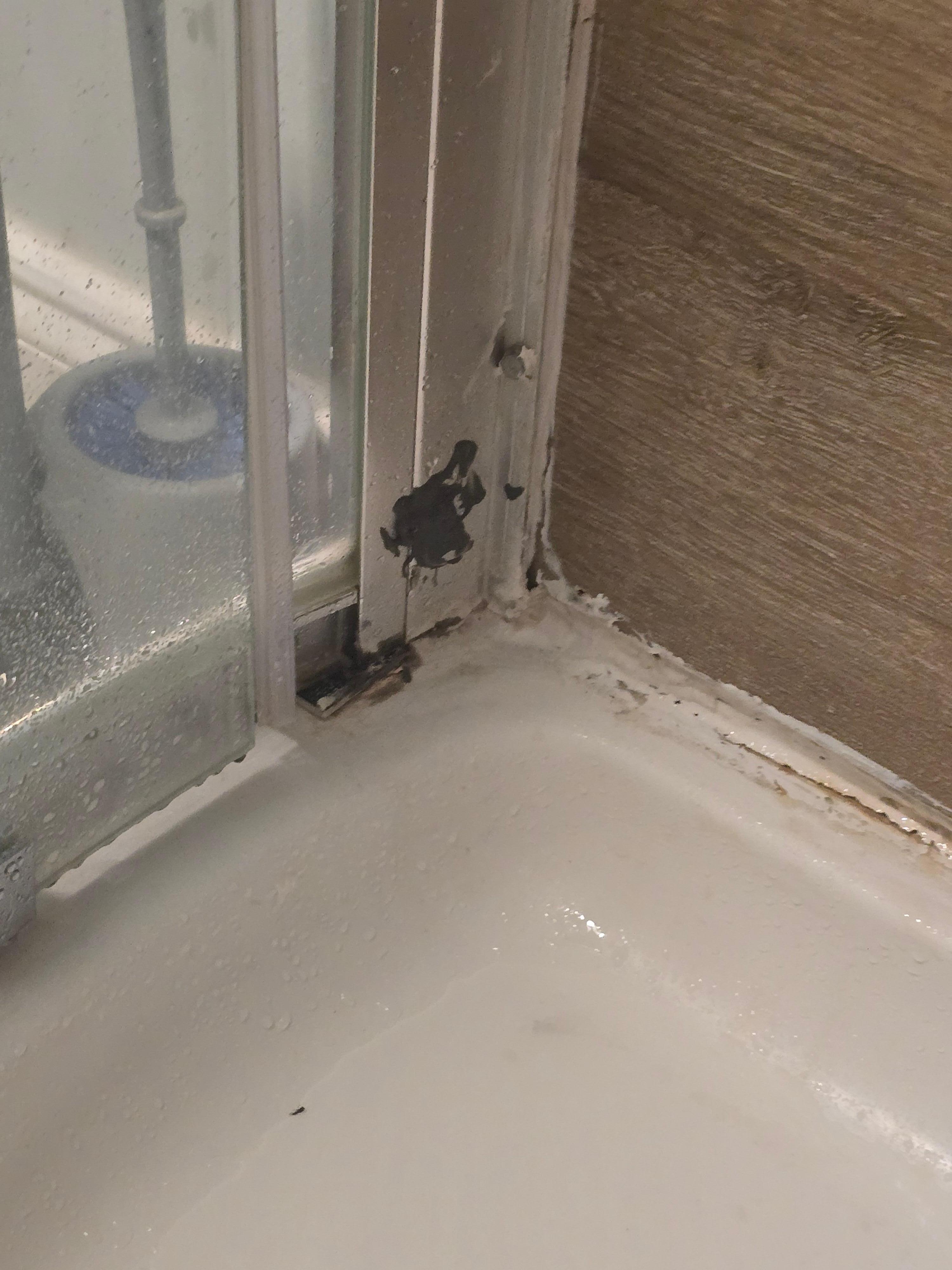 Dirty shower with water damage