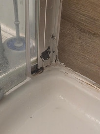 Dirty shower with water damage