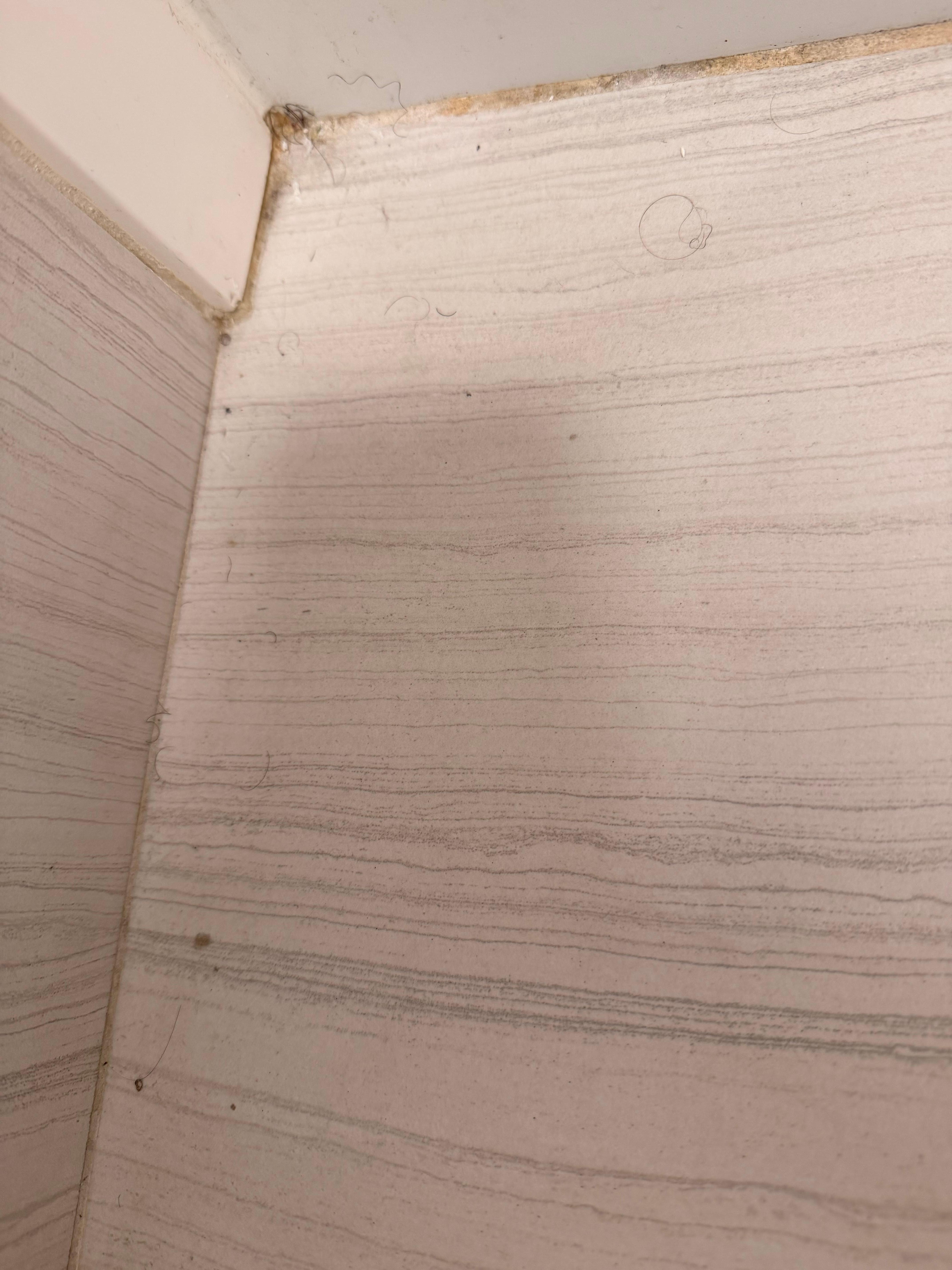 Hairs all over the floor