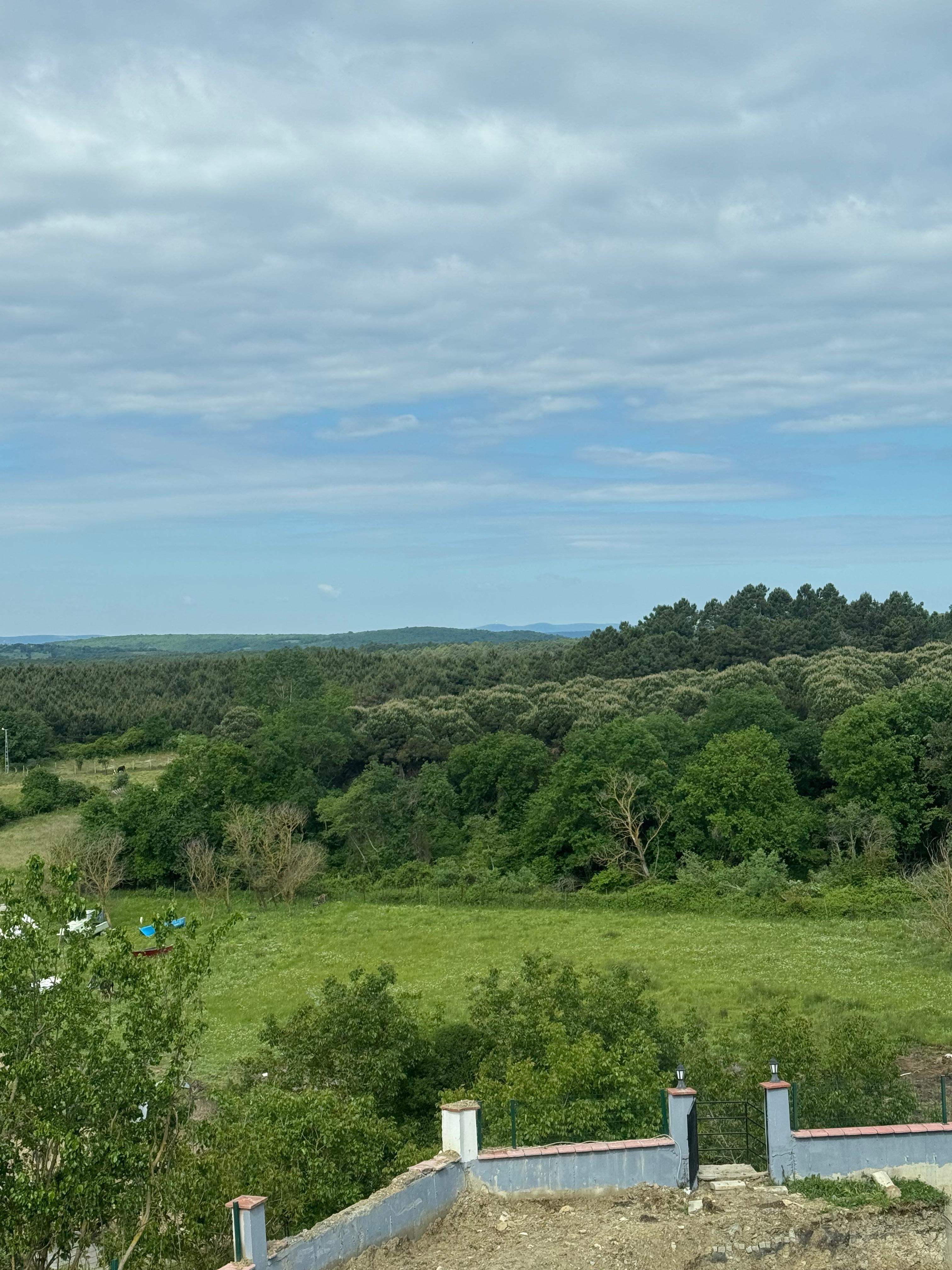 The view from my room 