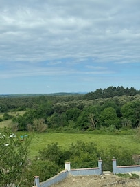 The view from my room