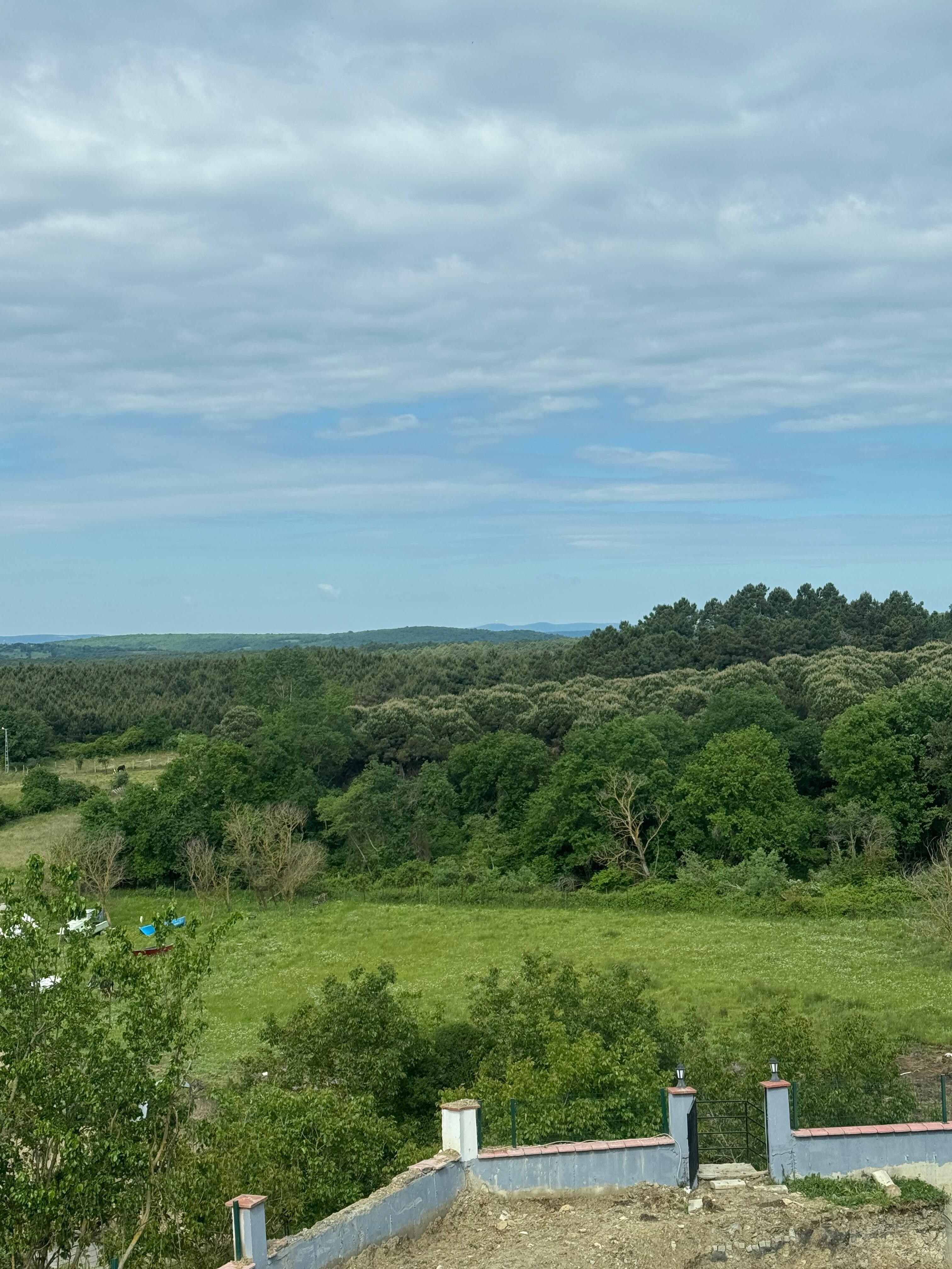 The view from my room 