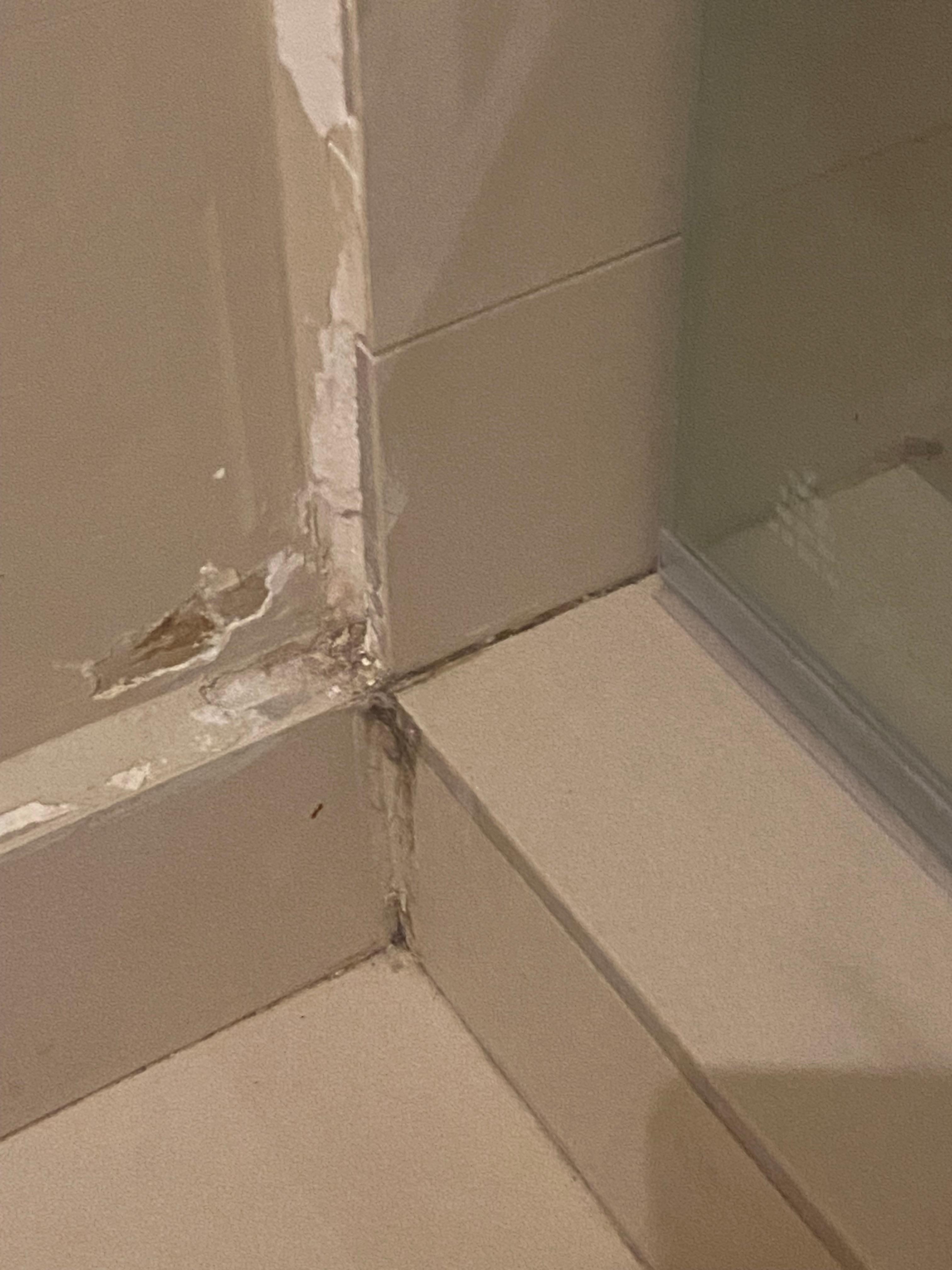 Bathroom mold