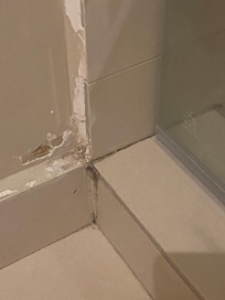 Bathroom mold