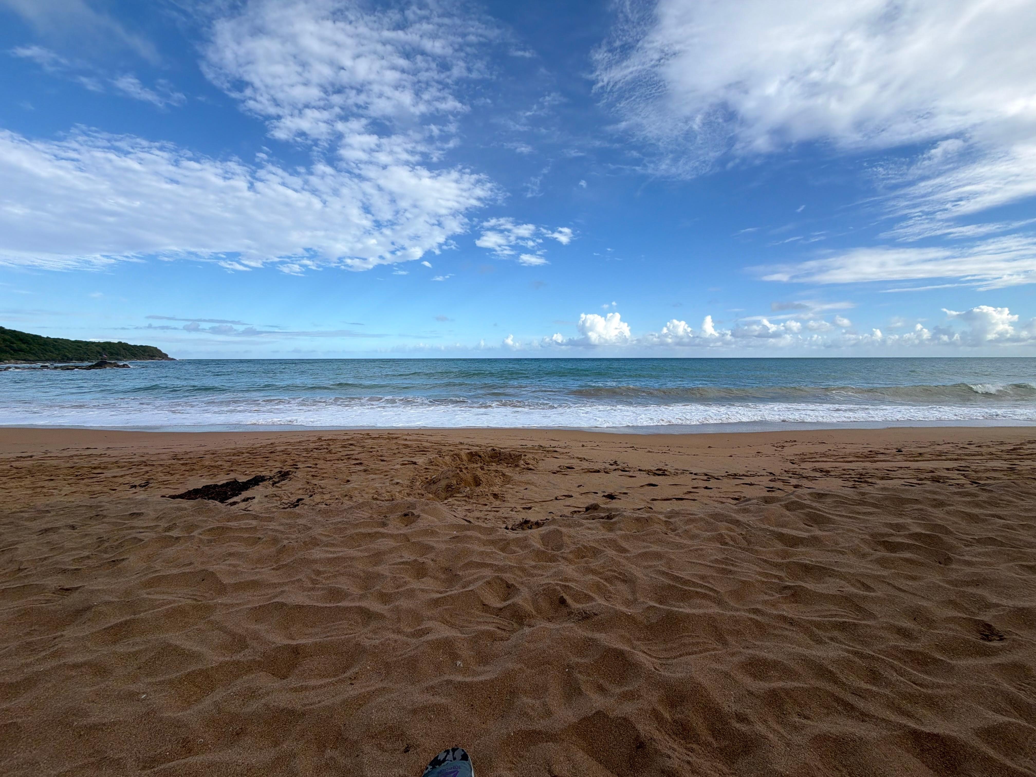 Panoramic photo of beach