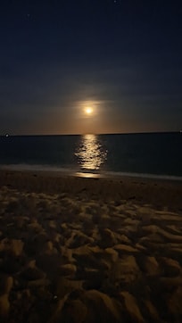 The beach was literally across the street, quiet and open