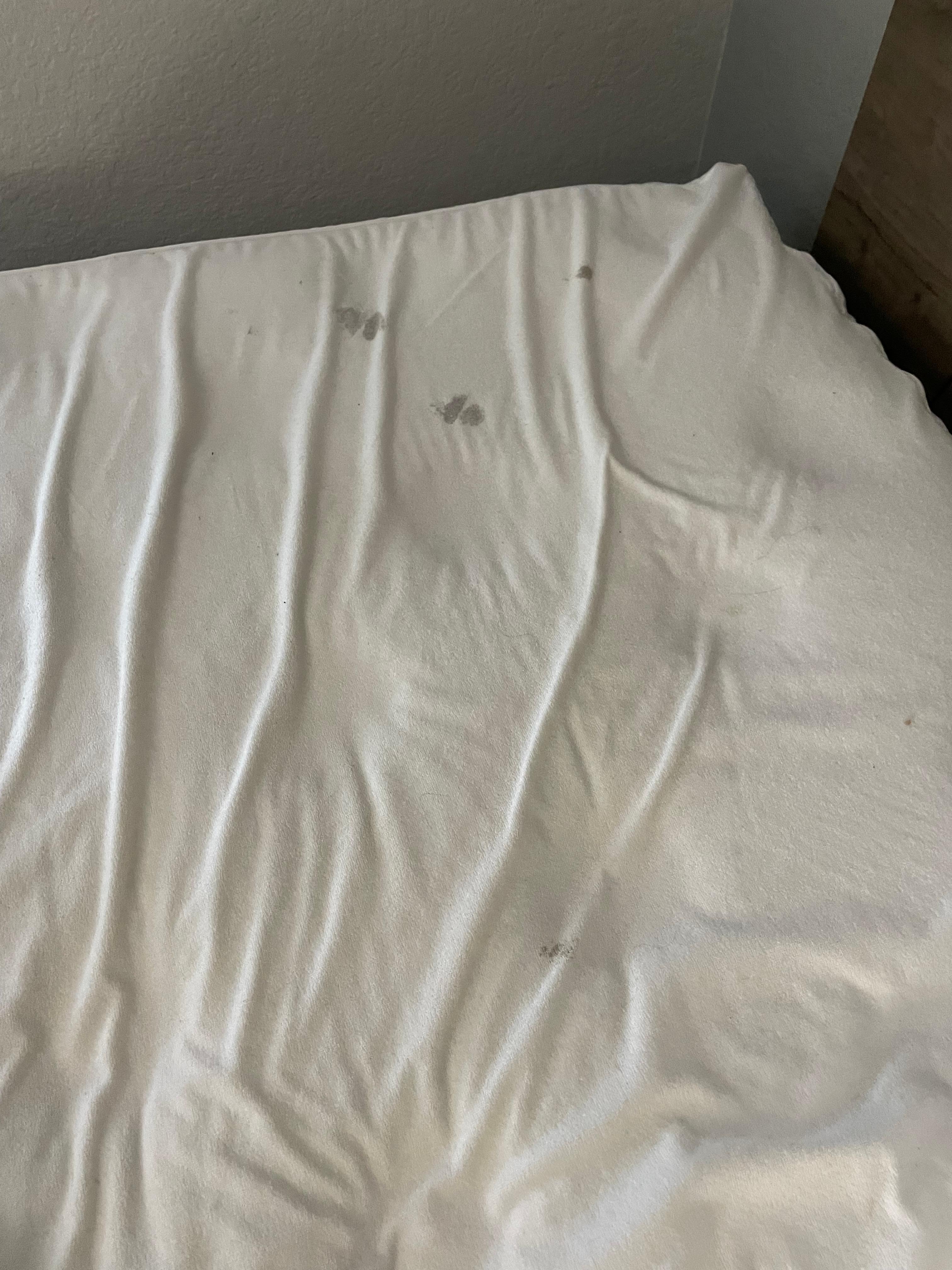 Bed pad (stains)