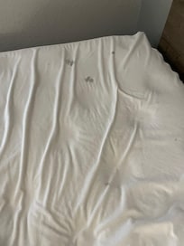 Bed pad (stains)