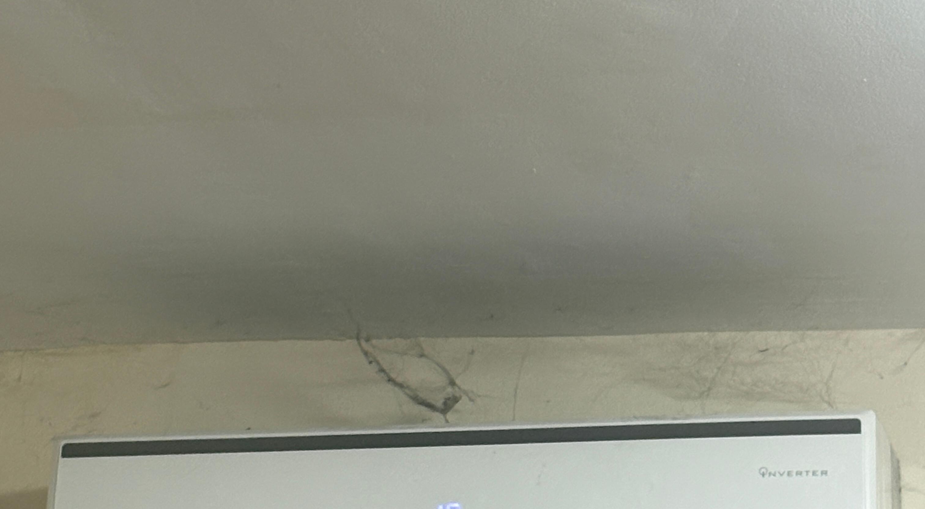 cobwebs above AC