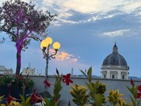 View from the Rooftop