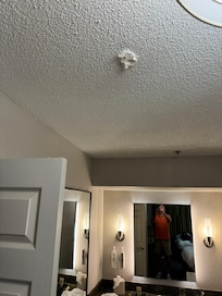 Toilet paper stuck to ceiling