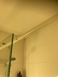 Mould around the top of the shower and walls
