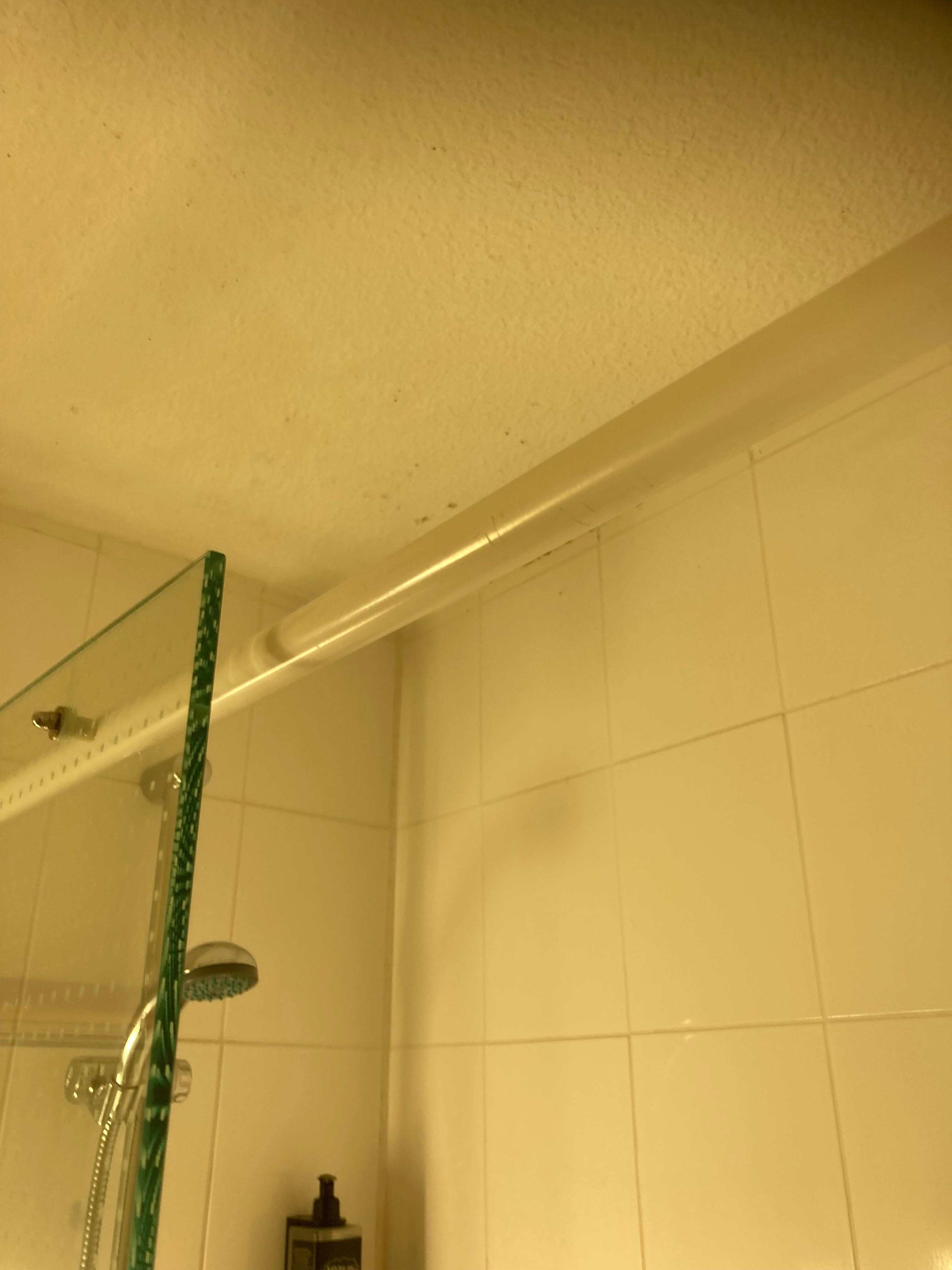 Mould around the top of the shower and walls