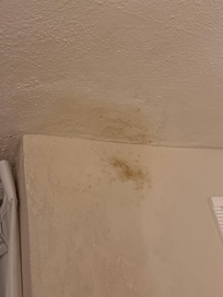 Mold in several places on the ceiling, and smelled of mold.