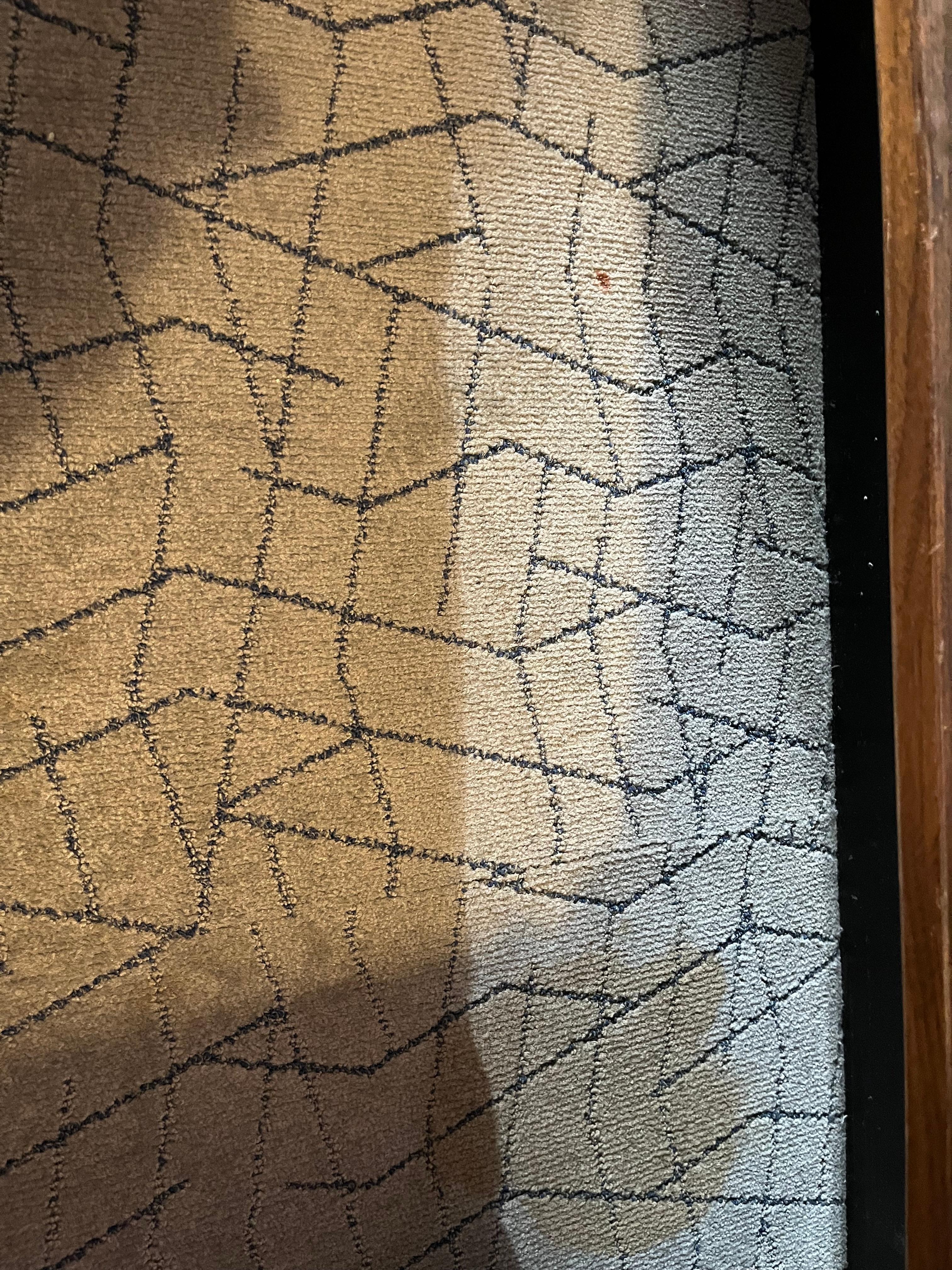 blood? on the carpet