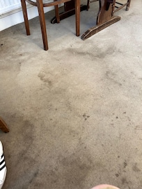 In a public area . The carpet