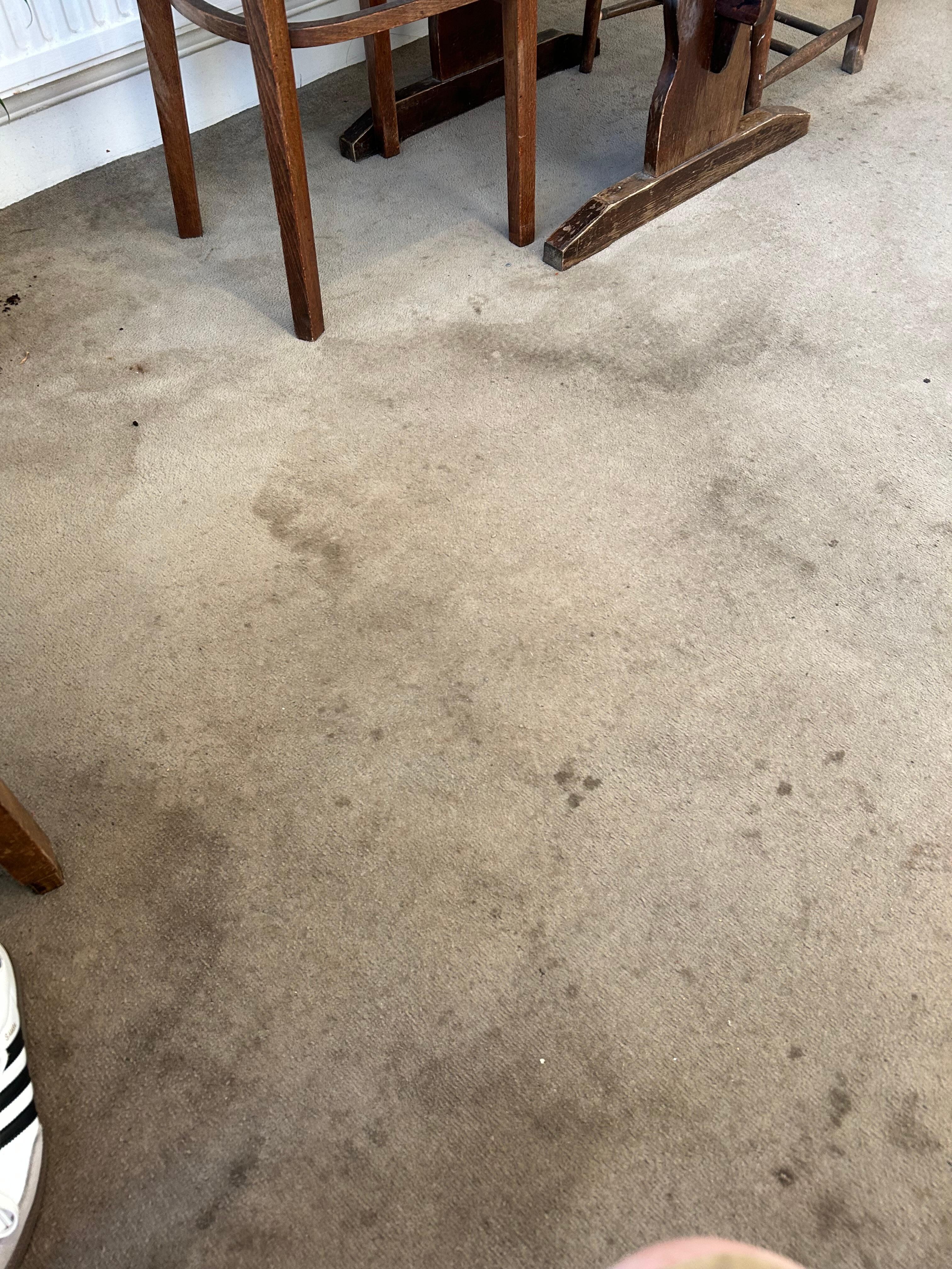 In a public area . The carpet 