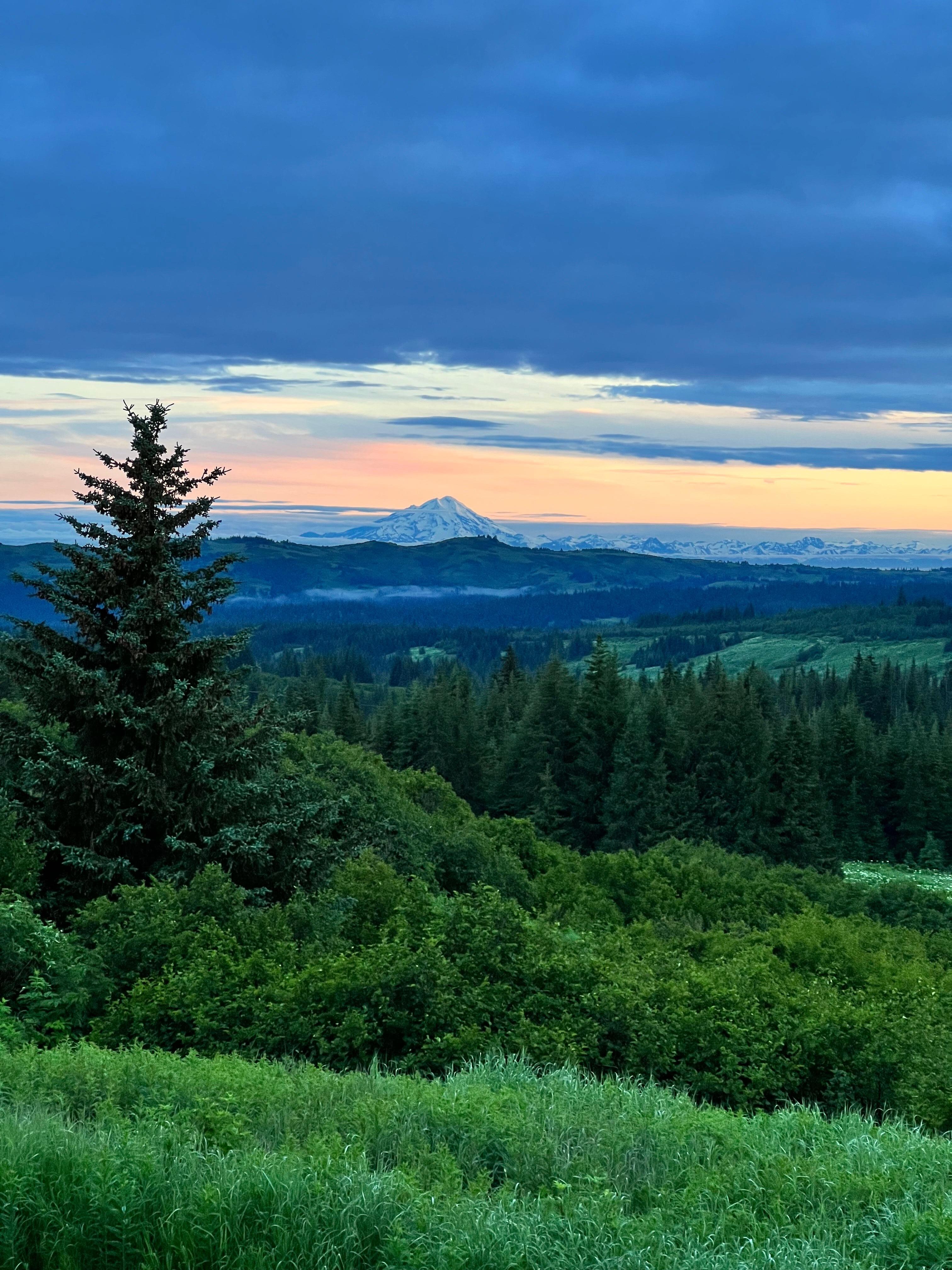 Morning magic! The view of the mountains is stunning, but what made it extra special were the thoughtful welcome gifts: a glass of wine for the adults and popcorn for the kids. A simple touch that made us feel truly cared for and welcome.