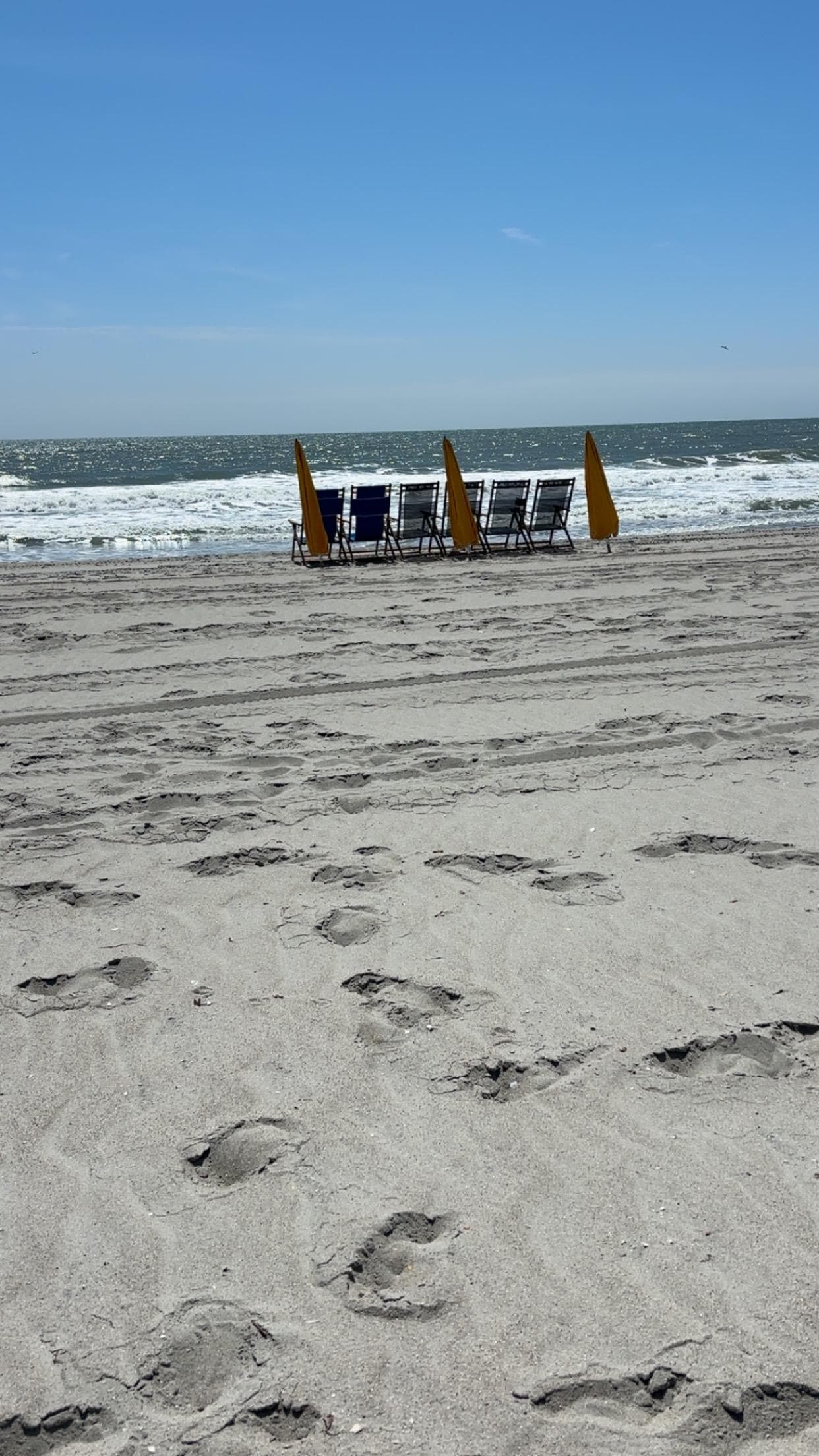 Rented chairs and umbrellas for the week 