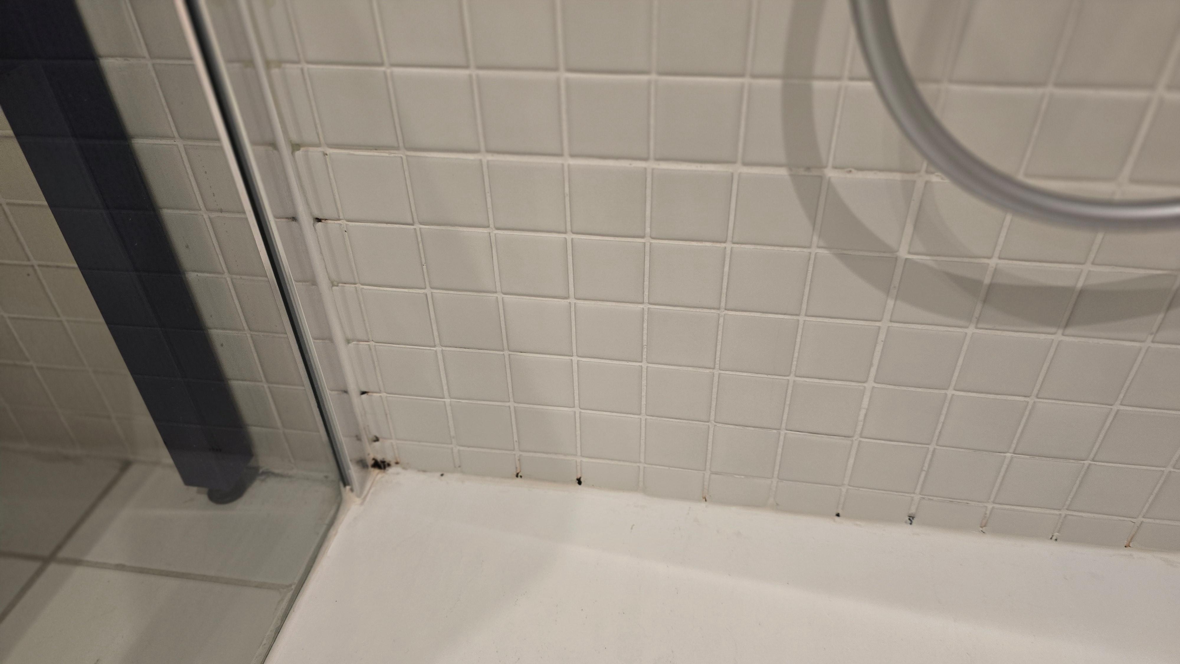 Mold in shower 