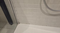 Mold in shower