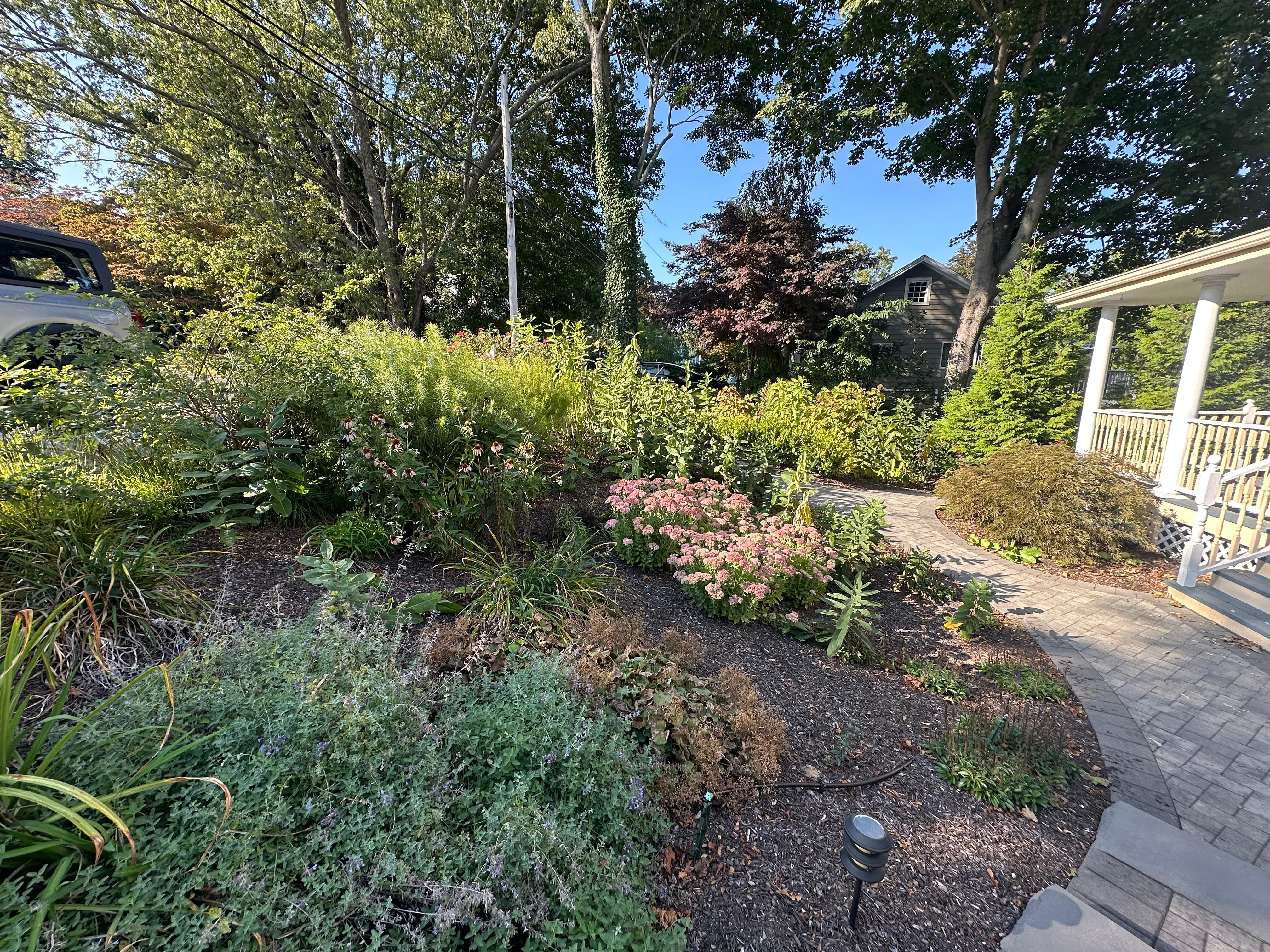 More of the beautiful garden!