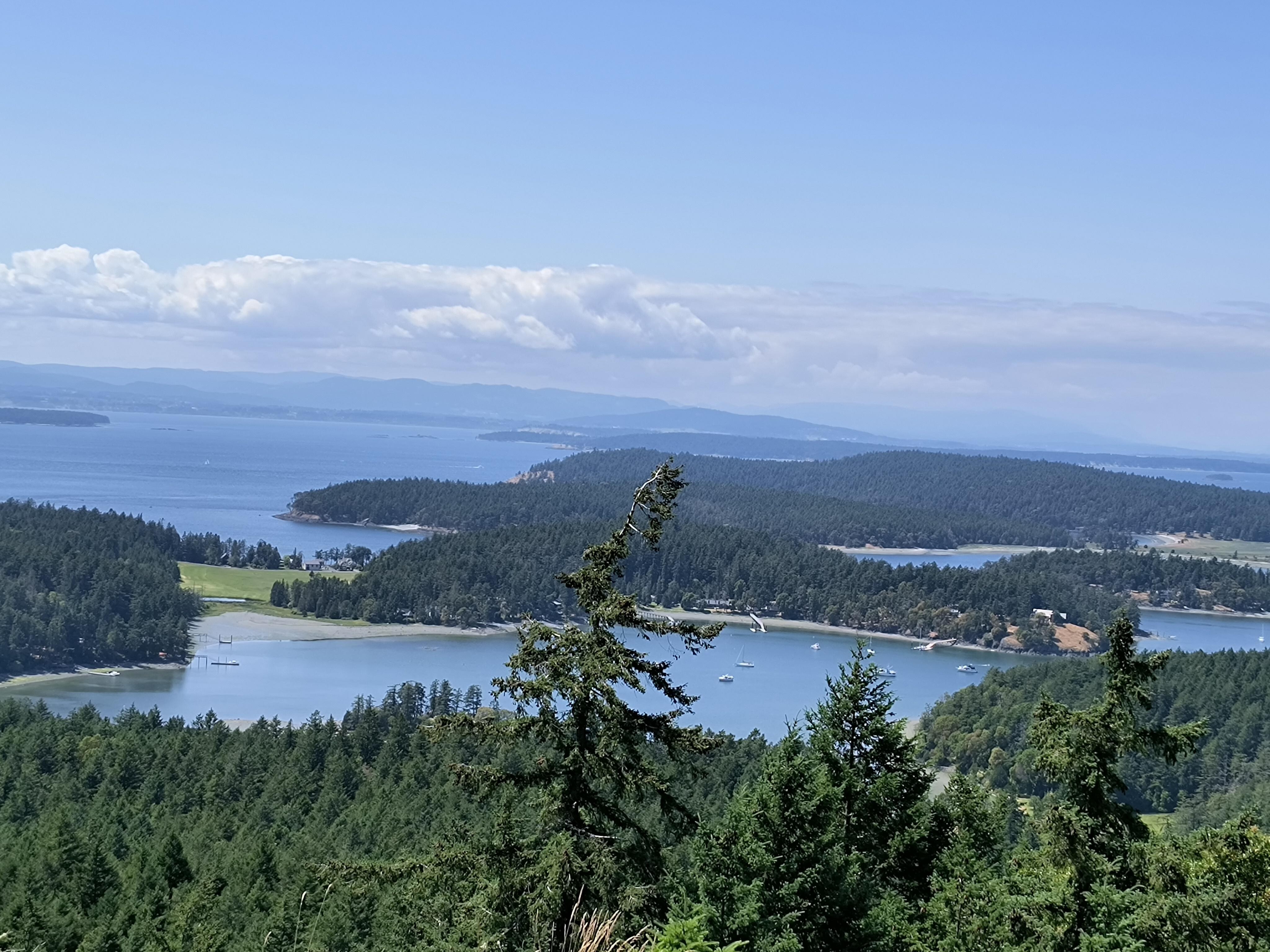 View from Young Hill
