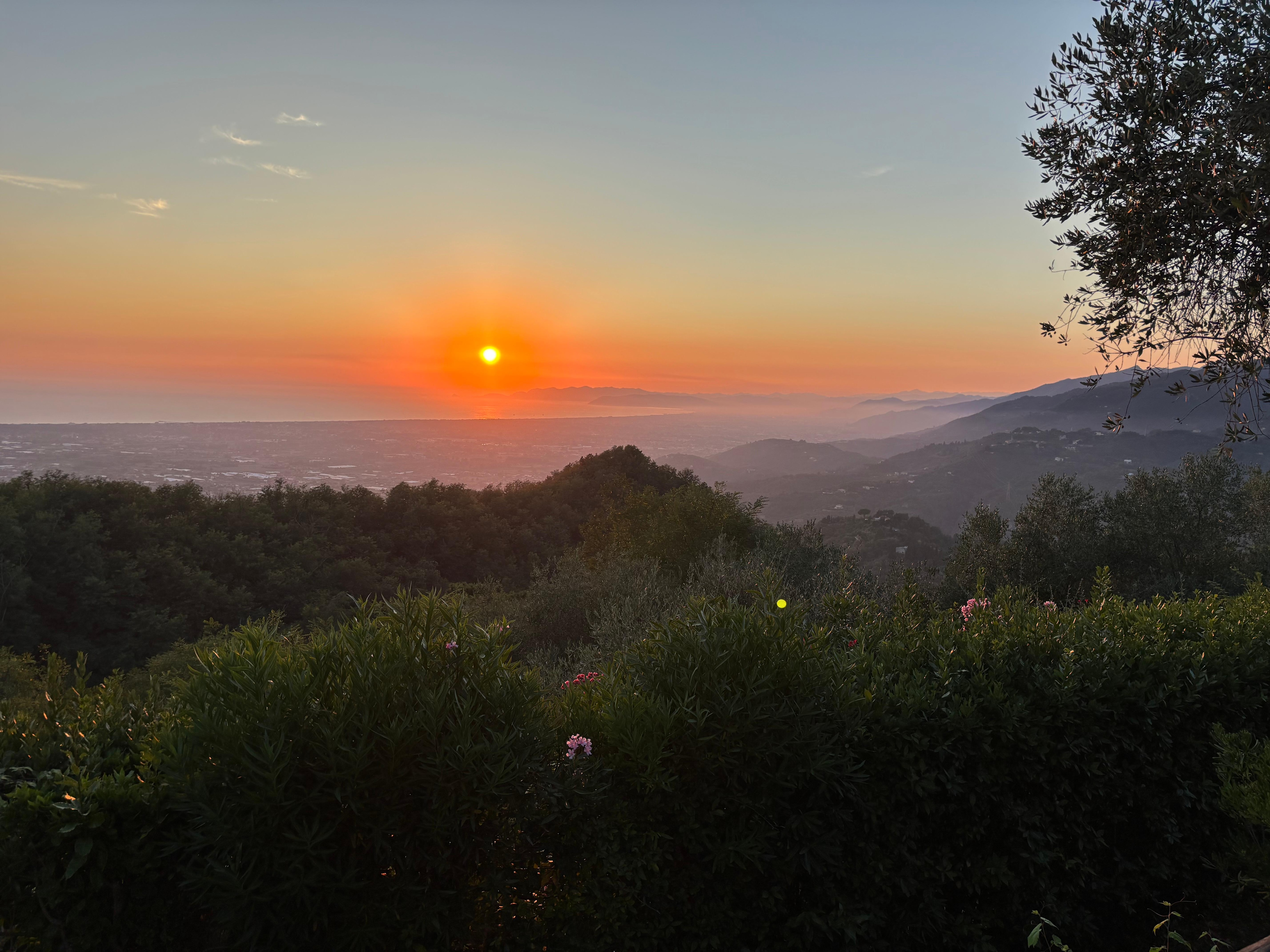 Blick aus dem Haus und von der Terasse.