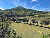 Victoria’s Valley Vineyard